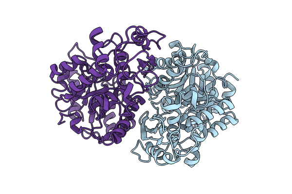 8UOP image
