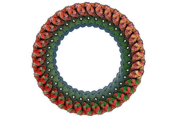 8UPL image