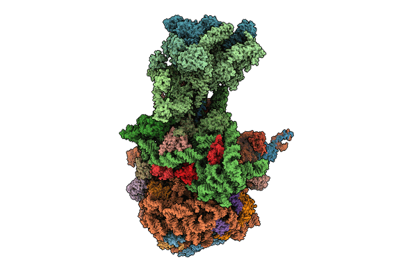 8UQM image