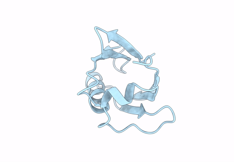 8URG image