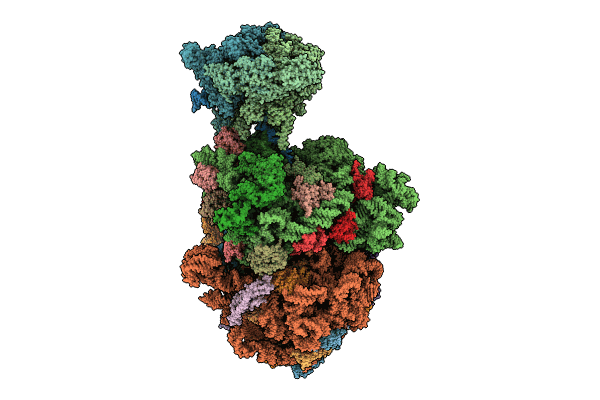 8URX image