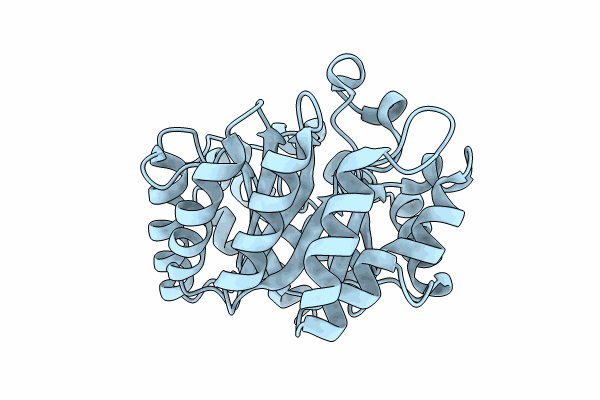 8USI image
