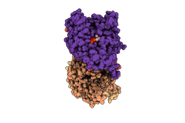 8UTP image