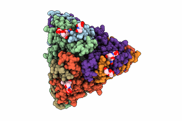 8UUP image
