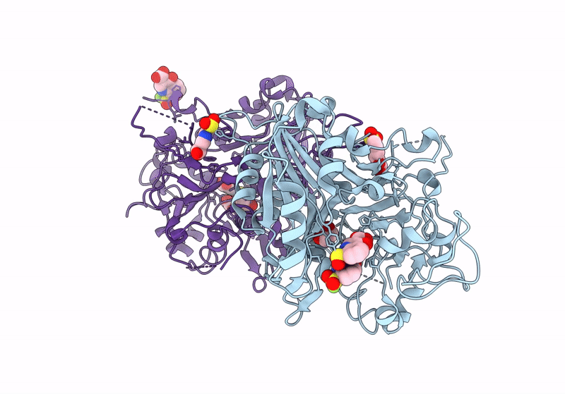 8UV1 image