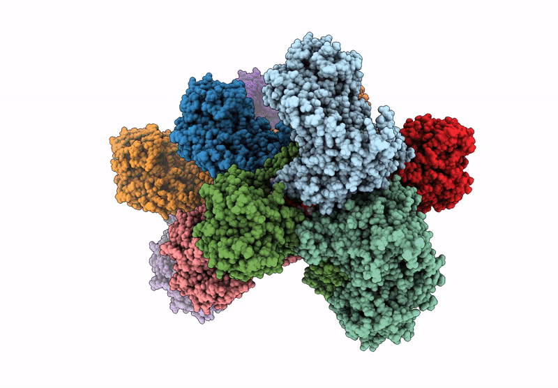 8UV4 image