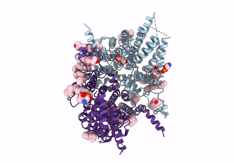 8UVC image