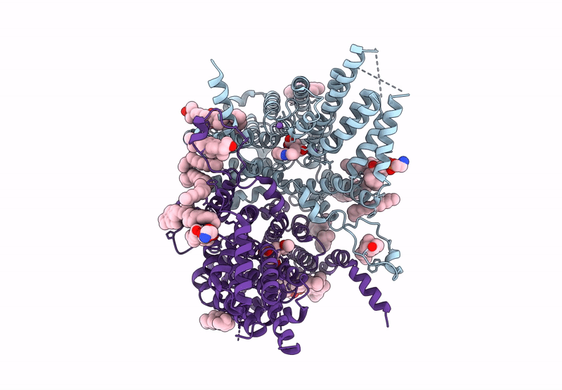 8UVD image