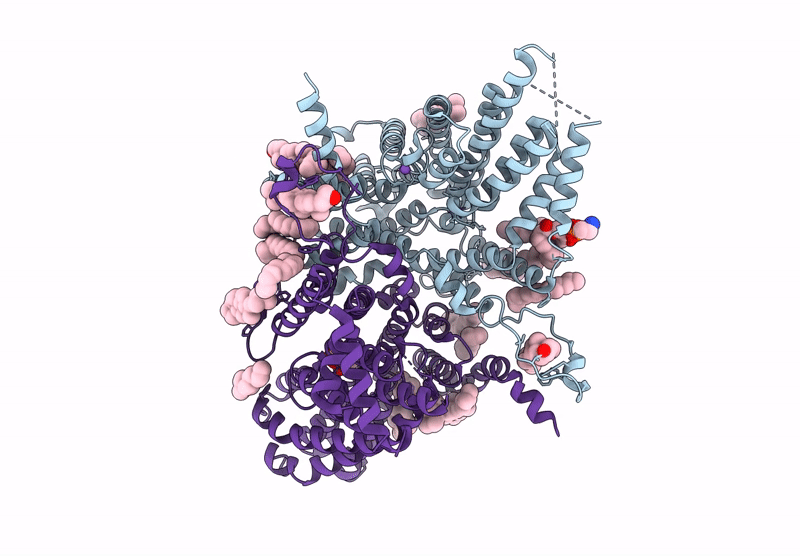 8UVG image