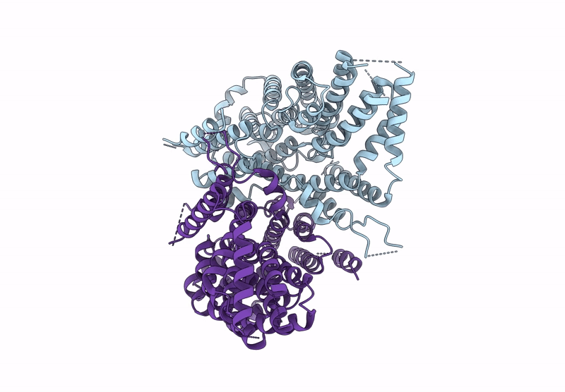8UVH image