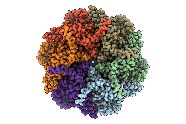 8UVQ image