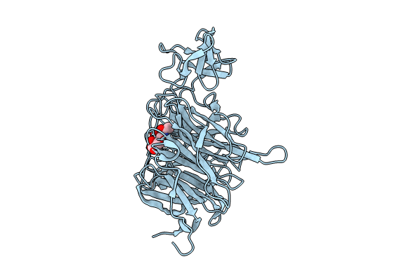 8UVV image