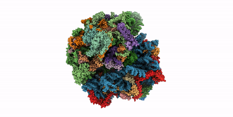 8UXA image