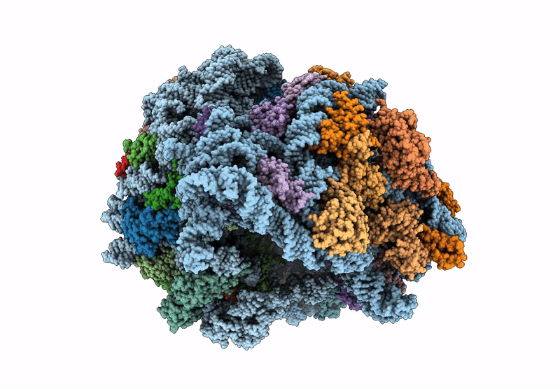 8UXB image
