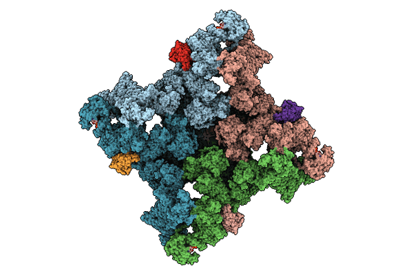 8UXG image