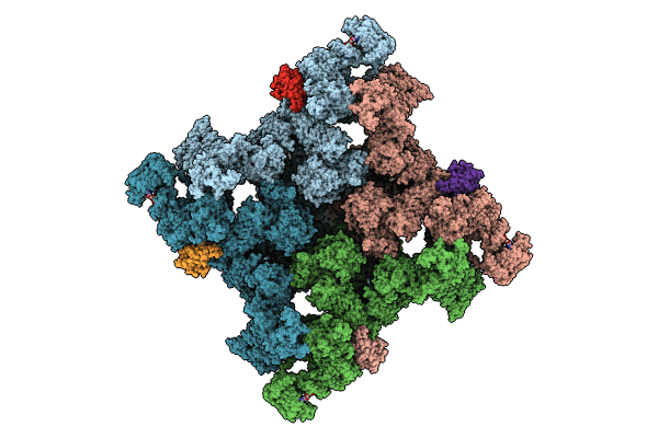 8UXH image