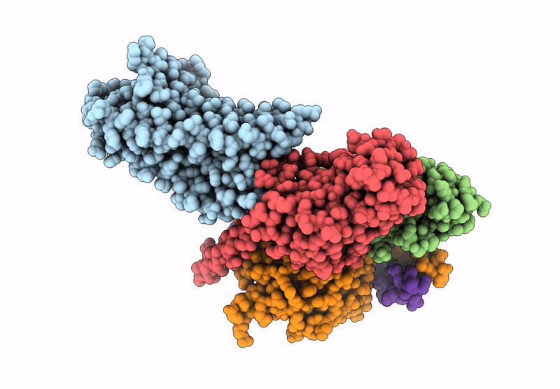 8UXV image