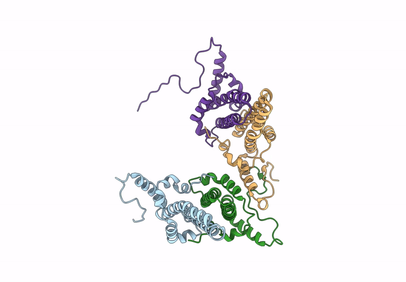 8UYT image
