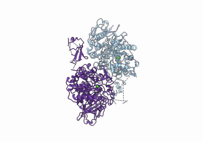 8UZH image