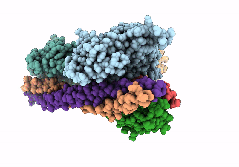 8V0I image