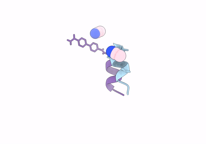 8V5X image