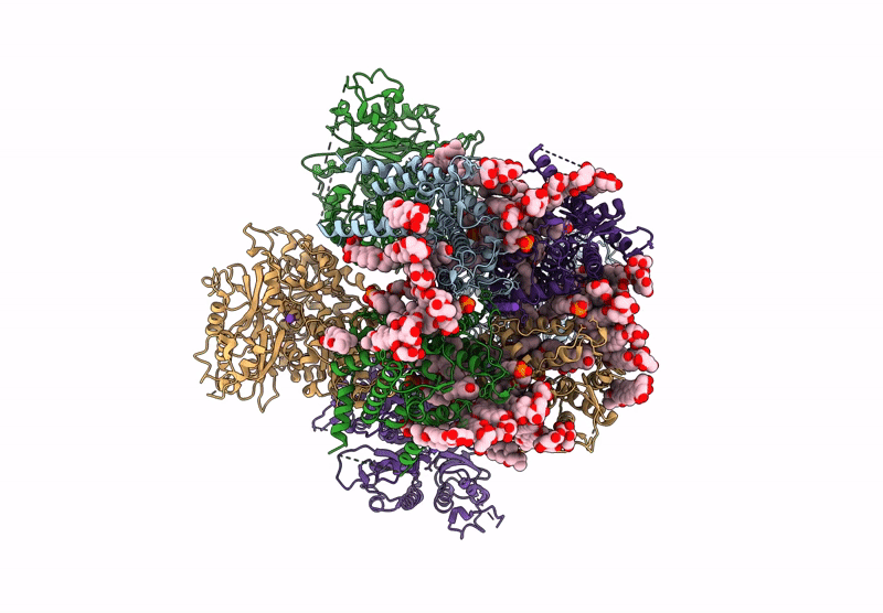 8V60 image