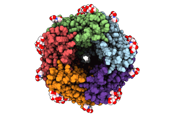 8V8C image