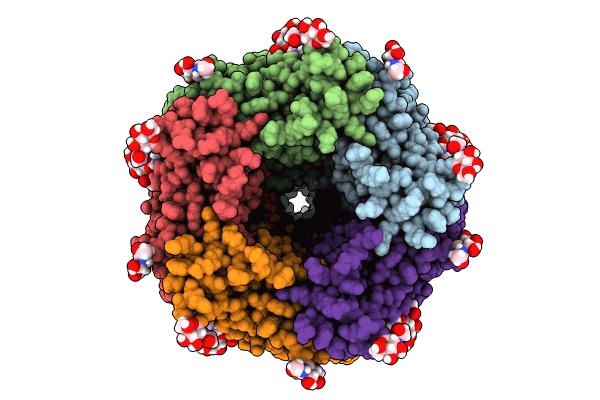 8V8D image