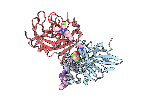 8V8E image