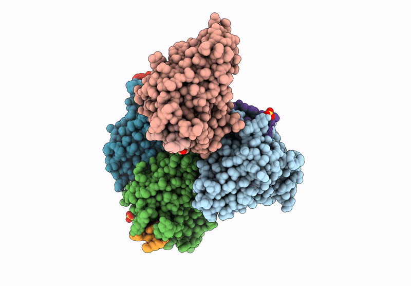 8V8F image