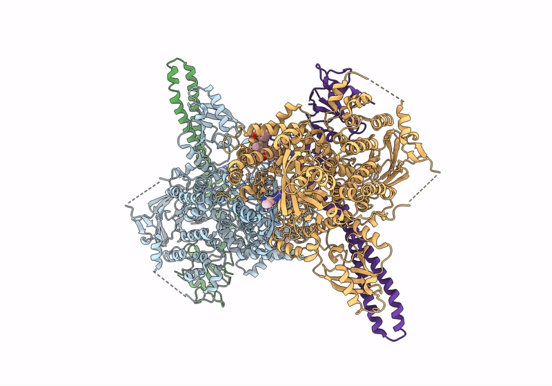 8V8H image