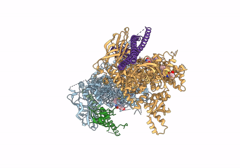8V8I image