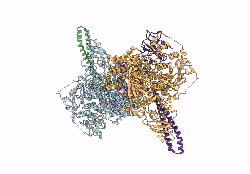 8V8J image