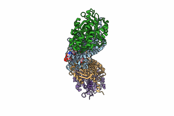 8V8M image
