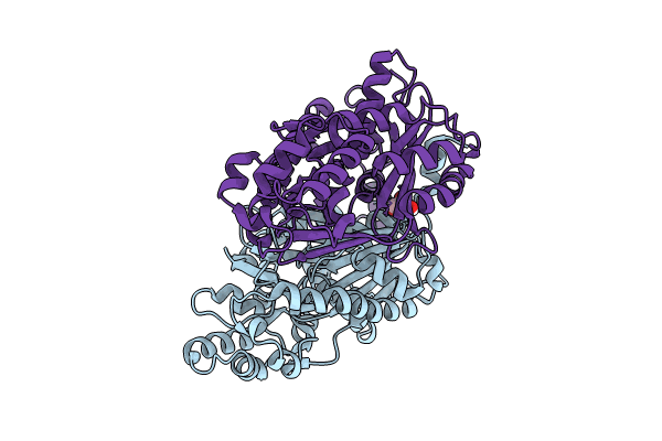 8V8N image