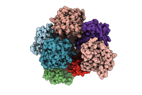 8V8P image