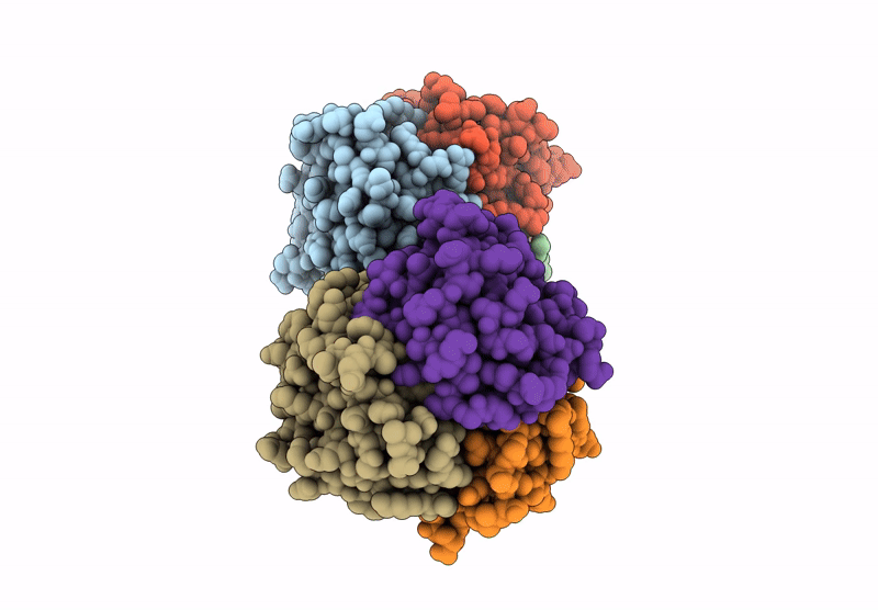 8V8R image