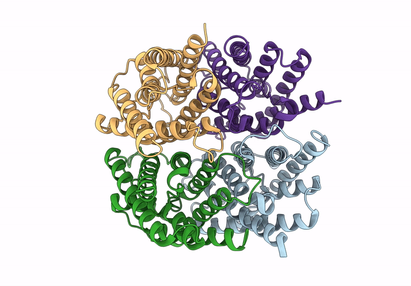 8V8S image