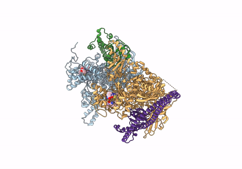 8V8U image