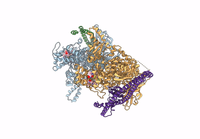 8V8V image