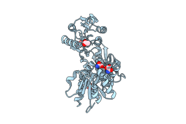 8V8W image