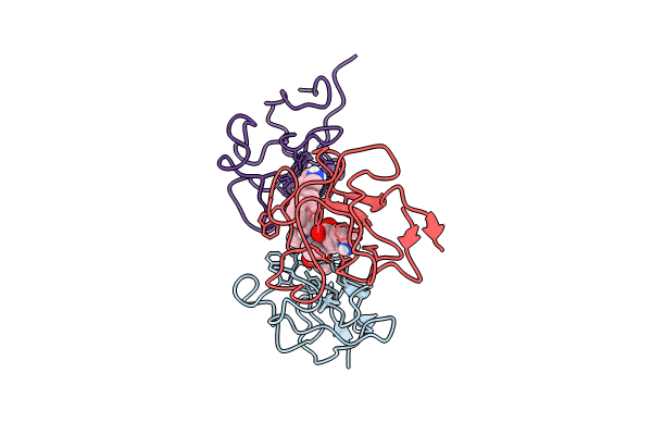 8V8Z image