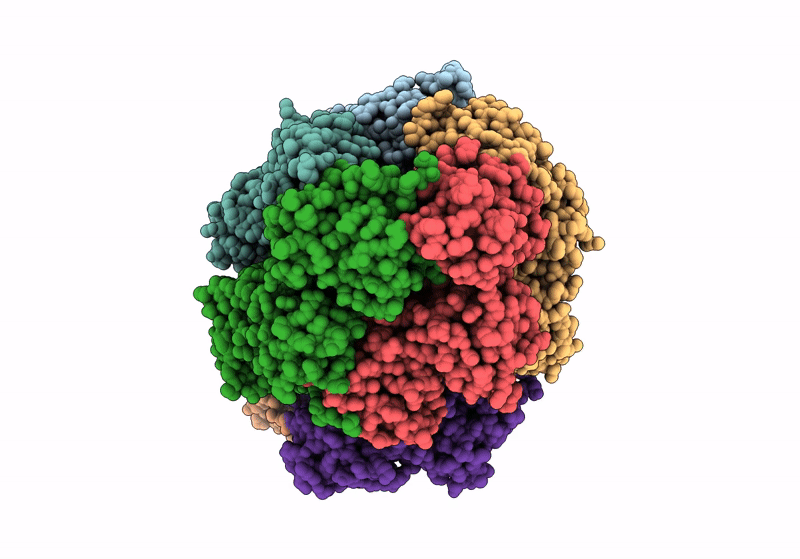 8VAM image