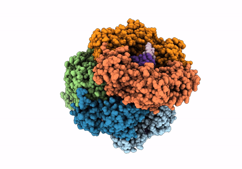 8VAQ image
