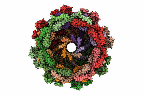 8VB2 image