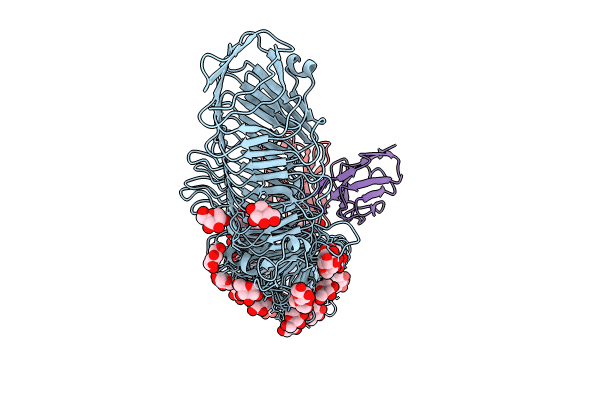 8VBB image