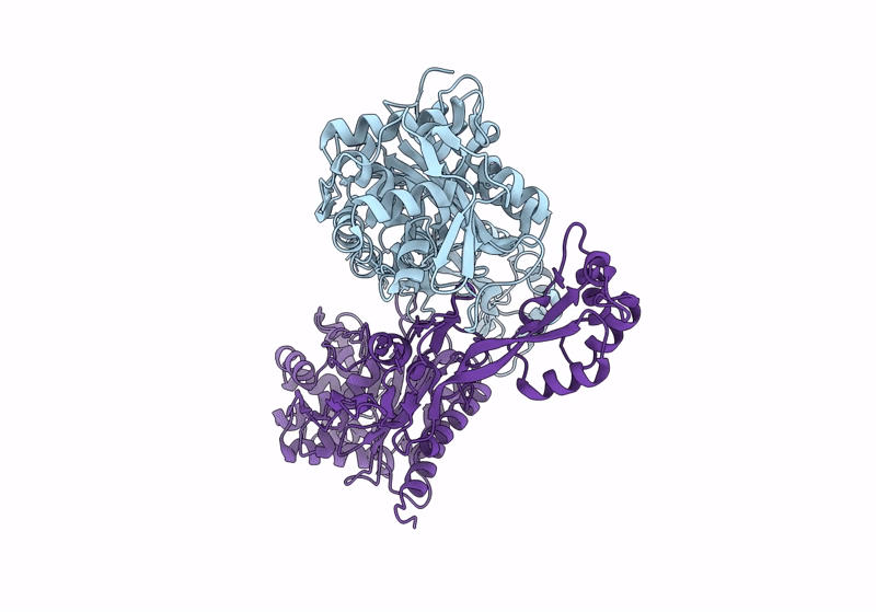 8VBT image