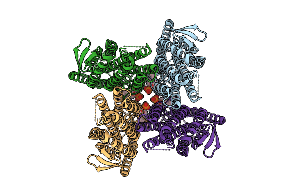 8VC2 image