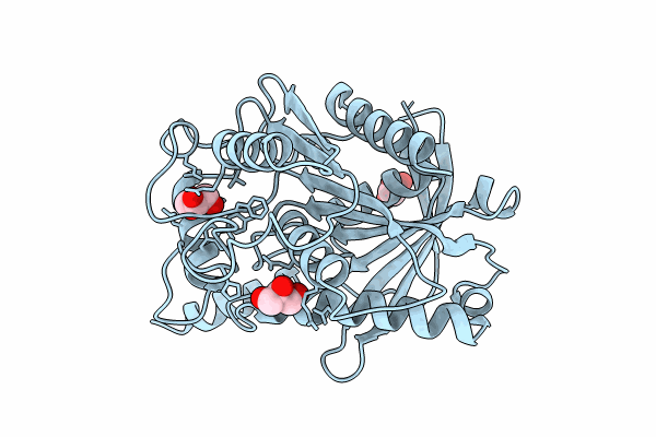 8VCA image