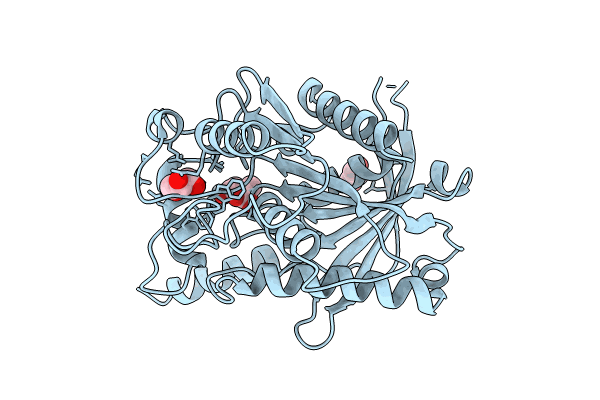 8VCD image